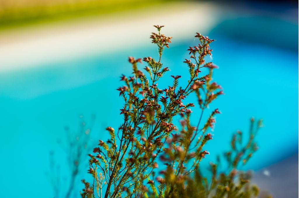Quinta Do Cerqueiral Holiday home *